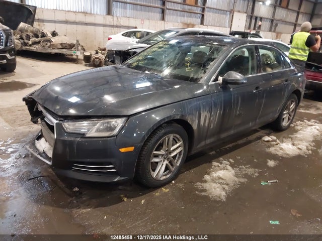 WAUANAF41HN006813 Audi A4 2.0t Komfort