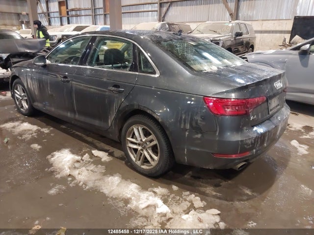 WAUANAF41HN006813 Audi A4 2.0t Komfort