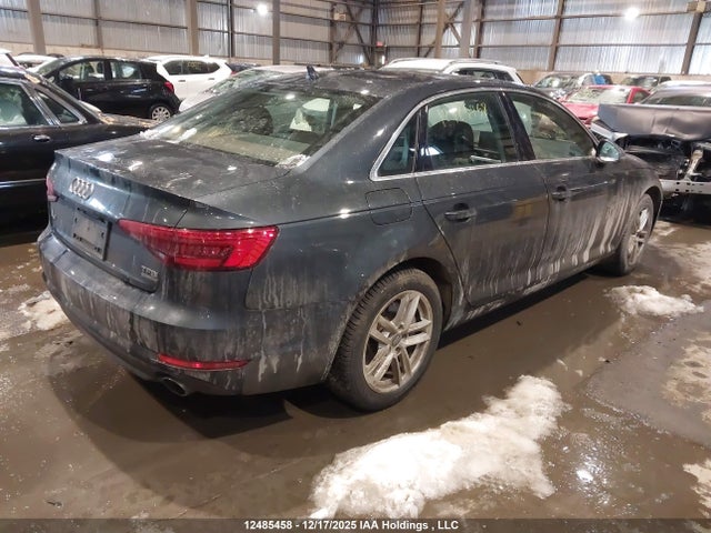 WAUANAF41HN006813 Audi A4 2.0t Komfort