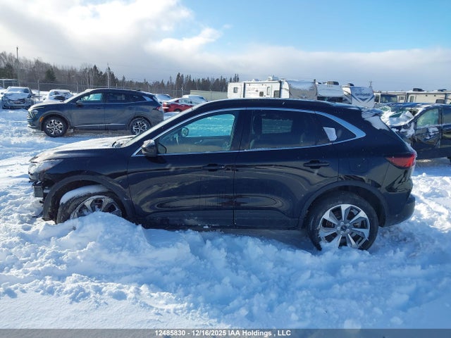 Продажа на аукционе авто 2025 Ford Escape Platinum, vin: 1FMCU9JA5SUA60599, номер лота: 12485830