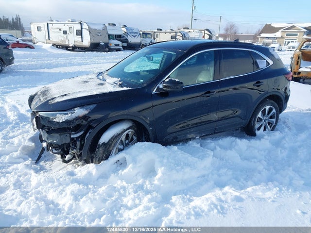 Продажа на аукционе авто 2025 Ford Escape Platinum, vin: 1FMCU9JA5SUA60599, номер лота: 12485830