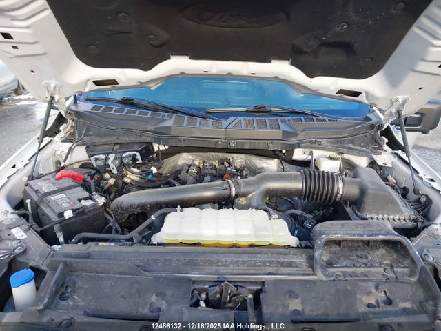 1FTFW3L84RFB68777 Ford F-150 Xlt