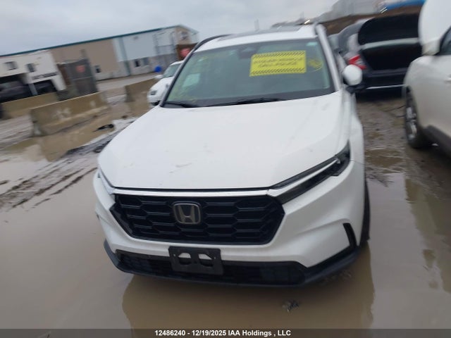 2HKRS4H5XSH102081 Honda Cr-v Sport