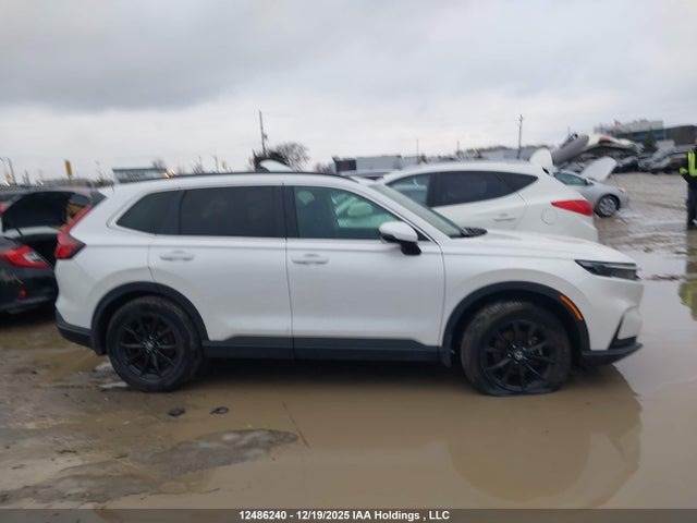 2HKRS4H5XSH102081 Honda Cr-v Sport