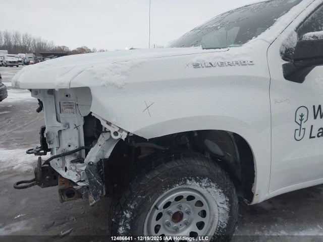 1GCRDAEDXNZ533179 Chevrolet Silverado 1500 Work Truck