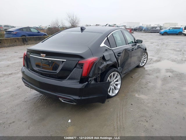 1G6DS5RK8L0130757 Cadillac lsy
