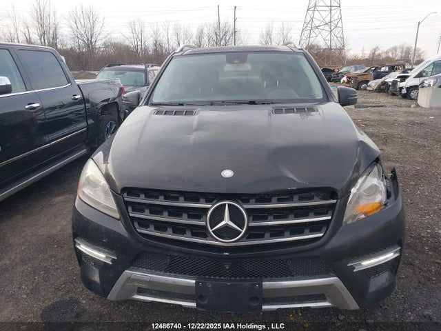 Mercedes-Benz Ml 350 Bluetec 2014 4JGDA2EB3EA369176 Image 12
