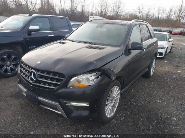 Mercedes-Benz Ml 350 Bluetec 2014 4JGDA2EB3EA369176 Image 2