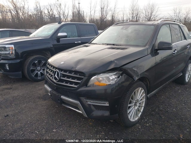 Mercedes-Benz Ml 350 Bluetec 2014 4JGDA2EB3EA369176 Image 6