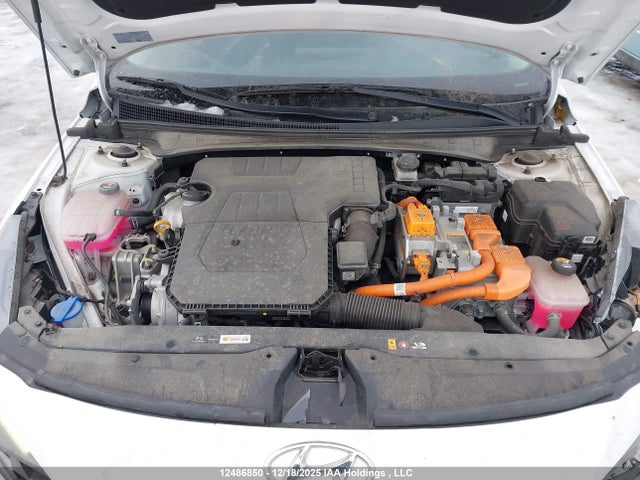 KMHLN4AJ6PU066855 Hyundai Elantra Limited