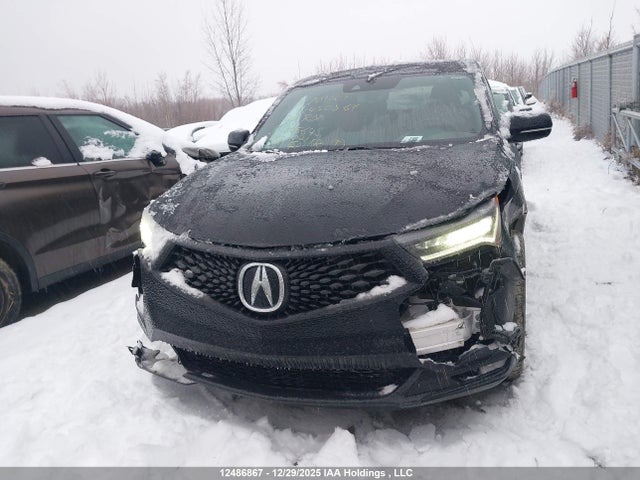 Aukcja sprzedaży 2023 Acura Rdx, vin: 5J8TC2H66PL805648, numer aukcji: 12486867