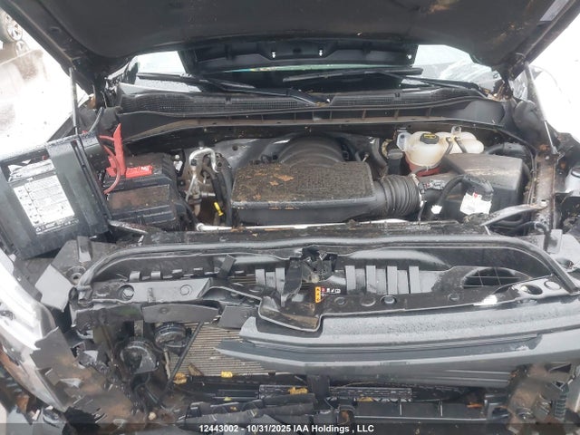 Auction sale of the 2024 Chevrolet Silverado 1500 Custom Trail Boss, vin: 3GCUDCED4RG426107, lot number: 12443002