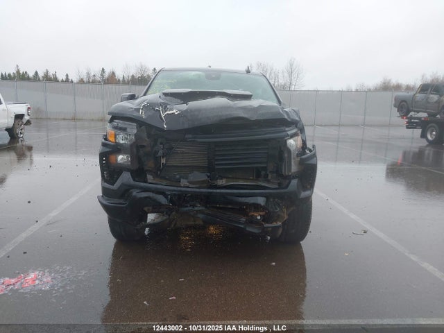Auction sale of the 2024 Chevrolet Silverado 1500 Custom Trail Boss, vin: 3GCUDCED4RG426107, lot number: 12443002