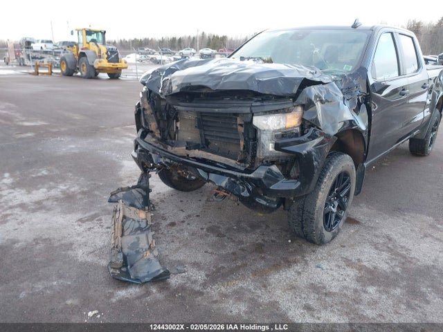 Auction sale of the 2024 Chevrolet Silverado 1500 Custom Trail Boss, vin: 3GCUDCED4RG426107, lot number: 12443002