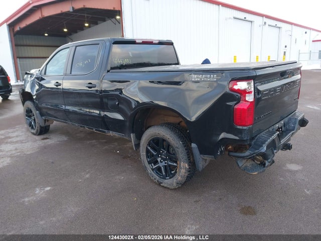 Auction sale of the 2024 Chevrolet Silverado 1500 Custom Trail Boss, vin: 3GCUDCED4RG426107, lot number: 12443002
