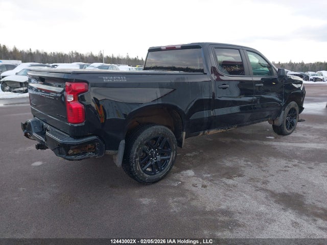 Auction sale of the 2024 Chevrolet Silverado 1500 Custom Trail Boss, vin: 3GCUDCED4RG426107, lot number: 12443002