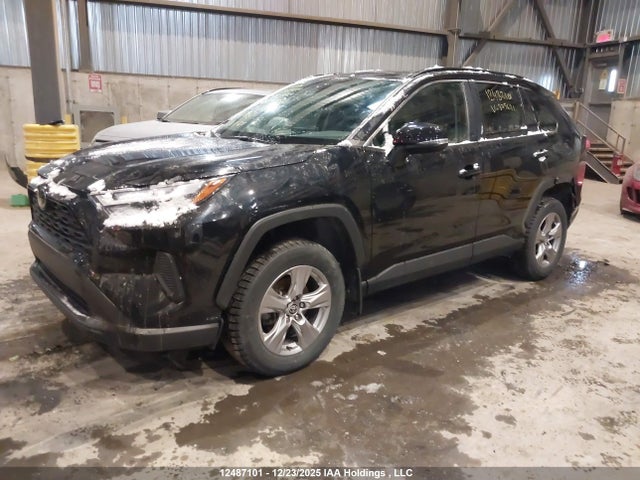 2023 Toyota Rav4 მანქანა იყიდება აუქციონზე, vin: 2T3R1RFV4PC375621, აუქციონის ნომერი: 12487101