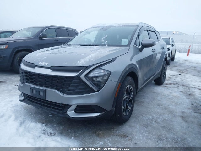 Продажа на аукционе авто 2024 Kia Sportage Lx/x-line, vin: KNDPUCDF8R7313708, номер лота: 12487129