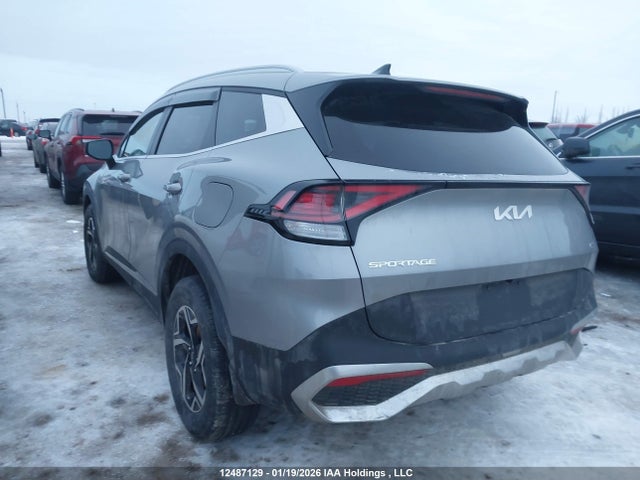 Продажа на аукционе авто 2024 Kia Sportage Lx/x-line, vin: KNDPUCDF8R7313708, номер лота: 12487129