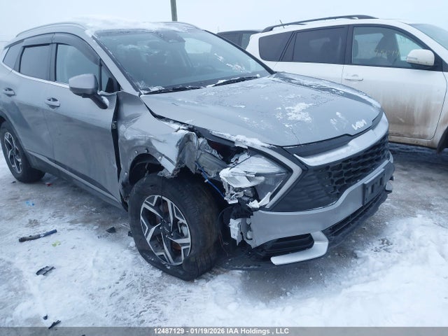 Продажа на аукционе авто 2024 Kia Sportage Lx/x-line, vin: KNDPUCDF8R7313708, номер лота: 12487129
