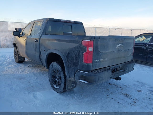 12487248 :رقم المزاد ، 3GCUDHEL0PG264512 vin ، 2023 Chevrolet Silverado 1500 Zr2 مزاد بيع