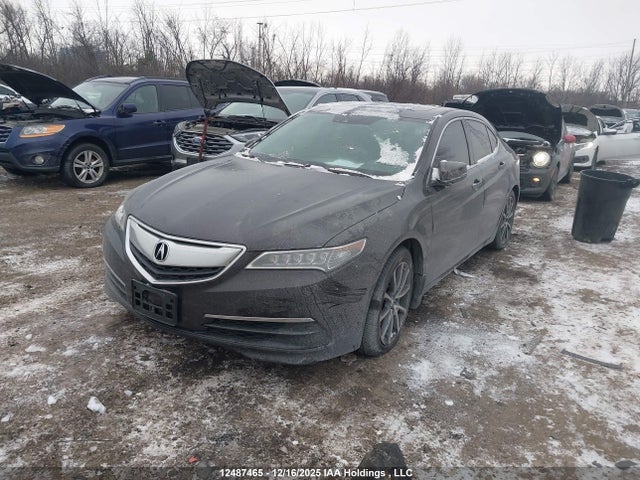 Aukcja sprzedaży 2015 Acura Tlx Tech, vin: 19UUB3F54FA803043, numer aukcji: 12487465