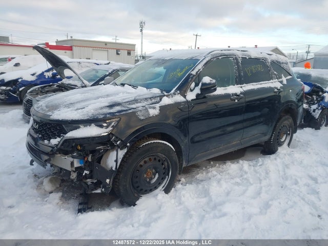 Продажа на аукционе авто 2023 Kia Sorento 2.5t Ex/2.5t Ex+, vin: 5XYRHDLF2PG223331, номер лота: 12487572