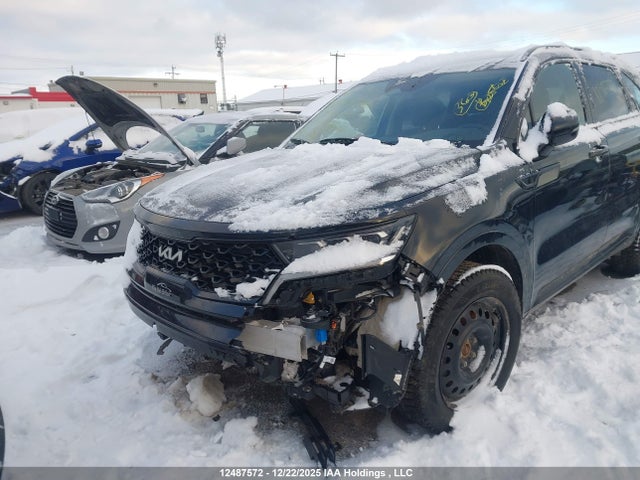 Продажа на аукционе авто 2023 Kia Sorento 2.5t Ex/2.5t Ex+, vin: 5XYRHDLF2PG223331, номер лота: 12487572