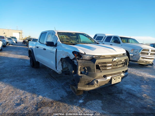 12487934 :رقم المزاد ، 1GCPTEEK5R1153316 vin ، 2024 Chevrolet Colorado Trail Boss 4wd مزاد بيع