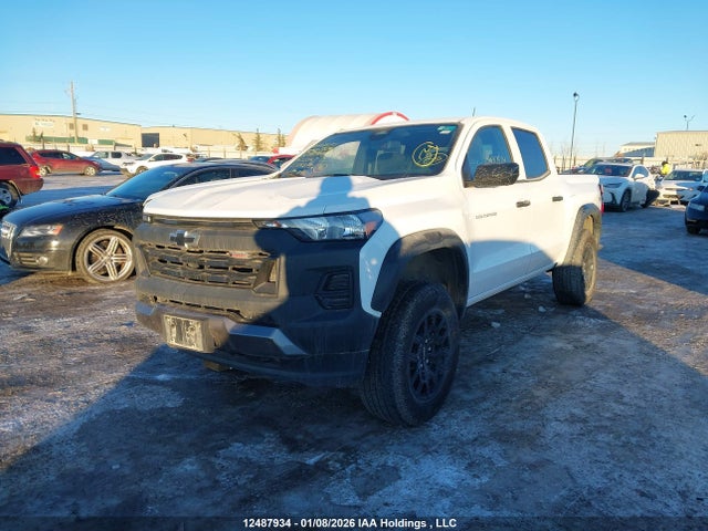 12487934 :رقم المزاد ، 1GCPTEEK5R1153316 vin ، 2024 Chevrolet Colorado Trail Boss 4wd مزاد بيع