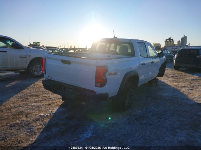 12487934 :رقم المزاد ، 1GCPTEEK5R1153316 vin ، 2024 Chevrolet Colorado Trail Boss 4wd مزاد بيع