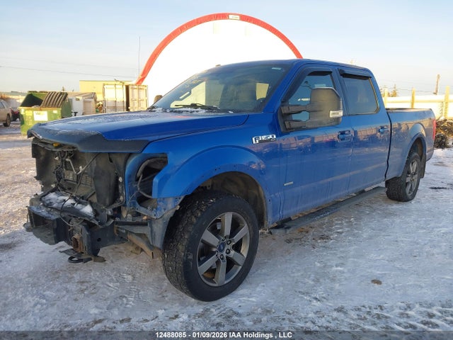 2015 Ford F-150 Xlt მანქანა იყიდება აუქციონზე, vin: 1FTFW1EG8FFB64607, აუქციონის ნომერი: 12488085