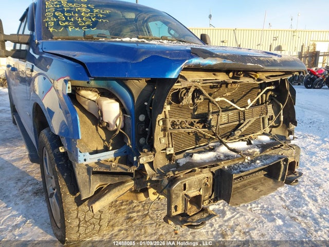 2015 Ford F-150 Xlt მანქანა იყიდება აუქციონზე, vin: 1FTFW1EG8FFB64607, აუქციონის ნომერი: 12488085