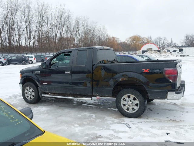 Продаж на аукціоні авто 2011 Ford F-150, vin: 1FTFX1ET5BFD17951, номер лоту: 12488563