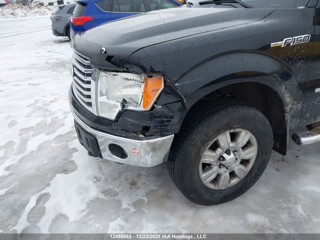 Продаж на аукціоні авто 2011 Ford F-150, vin: 1FTFX1ET5BFD17951, номер лоту: 12488563