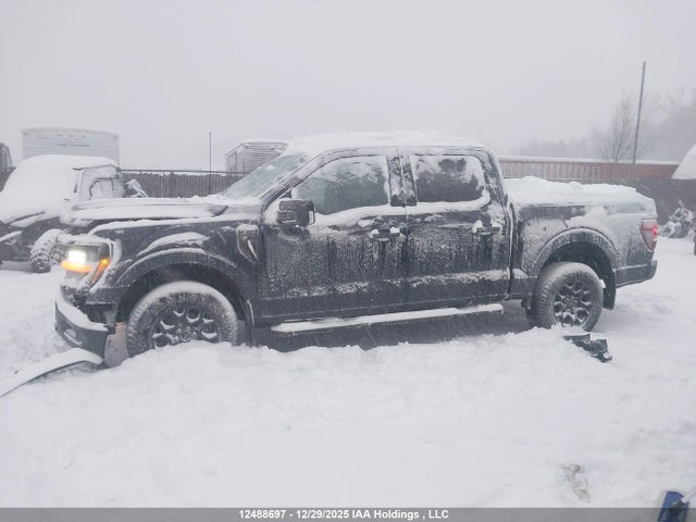 Aukcja sprzedaży 2025 Ford F-150, vin: 1FTEW3LP0SFA08971, numer aukcji: 12488697