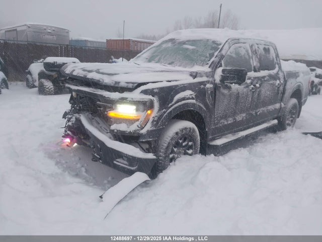 Aukcja sprzedaży 2025 Ford F-150, vin: 1FTEW3LP0SFA08971, numer aukcji: 12488697