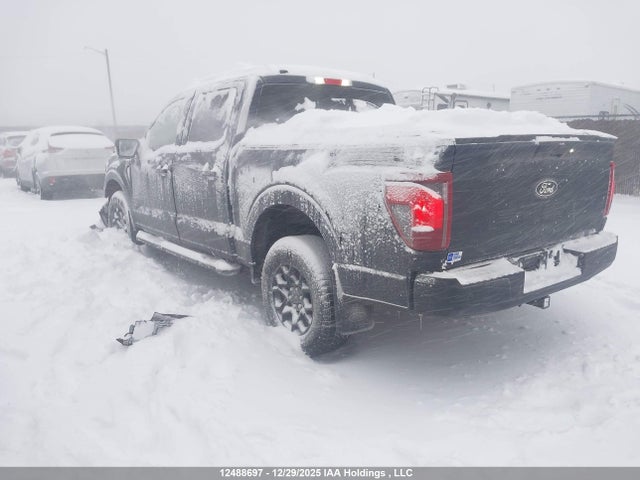 Aukcja sprzedaży 2025 Ford F-150, vin: 1FTEW3LP0SFA08971, numer aukcji: 12488697