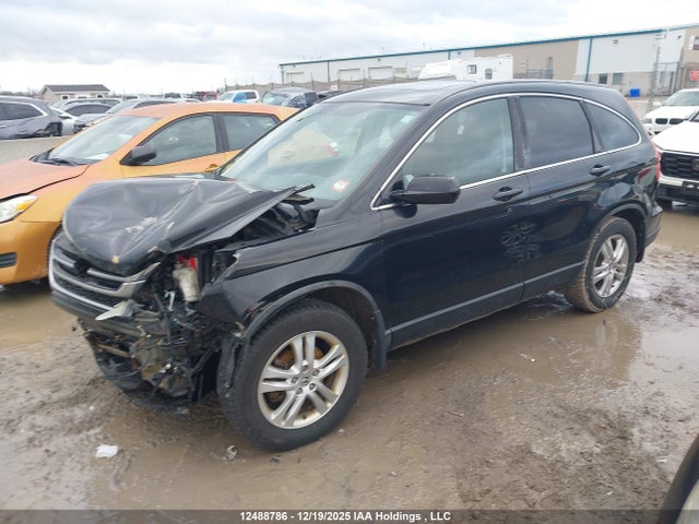 2011 Honda Cr-v Ex-l მანქანა იყიდება აუქციონზე, vin: 5J6RE4H74BL811832, აუქციონის ნომერი: 12488786