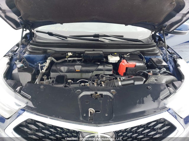 5J8TC2H91KL807858 Acura Rdx Platinum Elite
