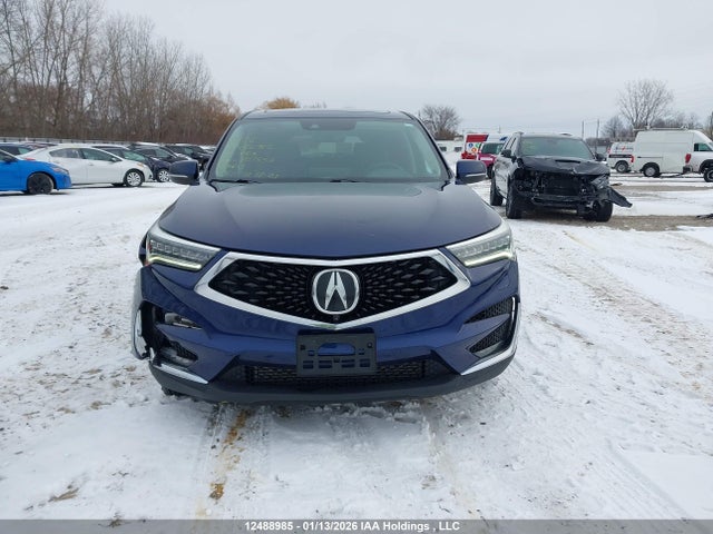 5J8TC2H91KL807858 Acura Rdx Platinum Elite