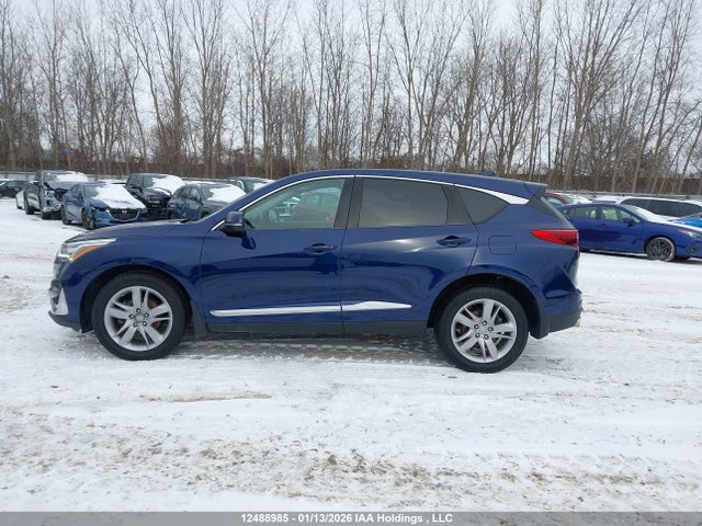 5J8TC2H91KL807858 Acura Rdx Platinum Elite
