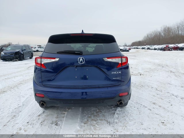 5J8TC2H91KL807858 Acura Rdx Platinum Elite