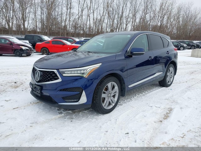 5J8TC2H91KL807858 Acura Rdx Platinum Elite