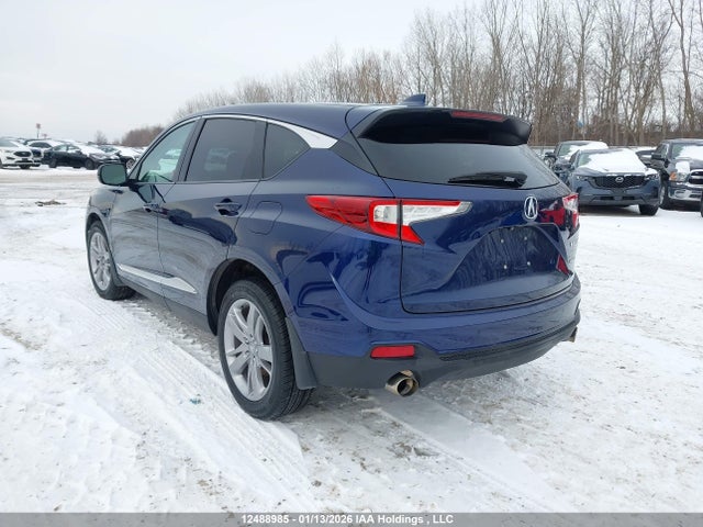 5J8TC2H91KL807858 Acura Rdx Platinum Elite