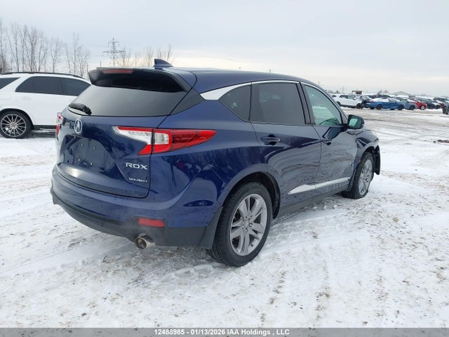 5J8TC2H91KL807858 Acura Rdx Platinum Elite
