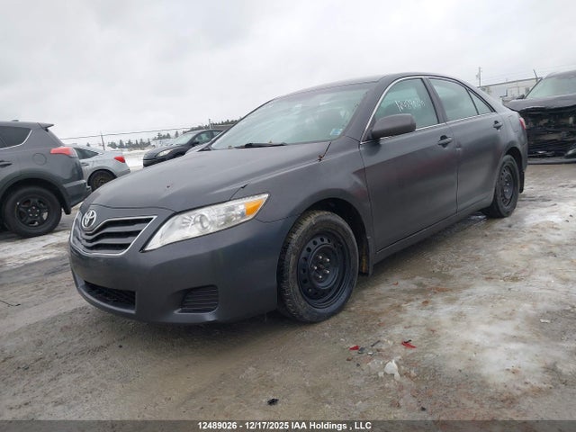 2010 Toyota Camry Se/le/xle მანქანა იყიდება აუქციონზე, vin: 4T1BF3EK9AU104446, აუქციონის ნომერი: 12489026
