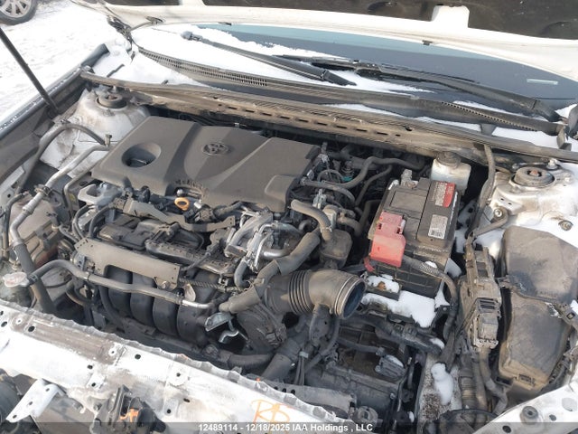 4T1B11HK8KU802126 Toyota CAMRY SE
