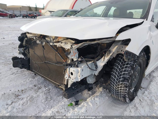 4T1B11HK8KU802126 Toyota CAMRY SE