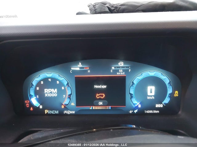 12489385 :رقم المزاد ، 1FMEE7BH6SLA84972 vin ، 2025 Ford Bronco Big Bend مزاد بيع